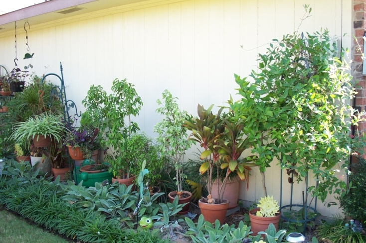 Herb Garden by back gate exit